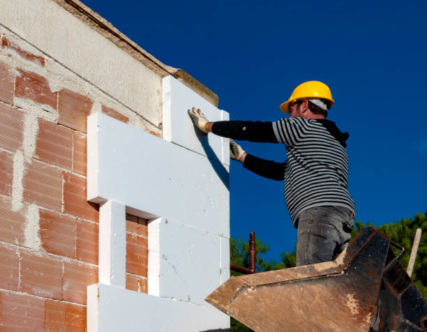 Best Insulation Installation Services in Palmview, TX