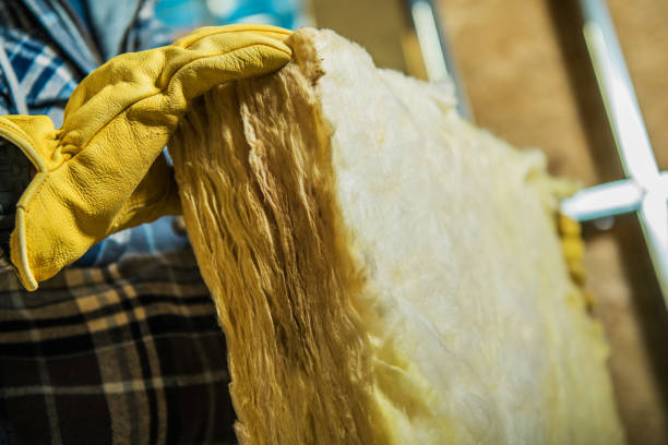 Best Commercial Insulation in Palmview, TX