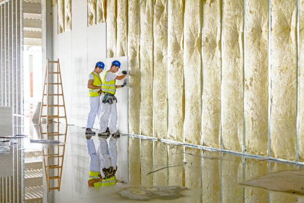 Best Specialty Insulation in Palmview, TX